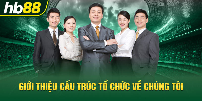 Giới thiệu cấu trúc tổ chức về chúng tôi