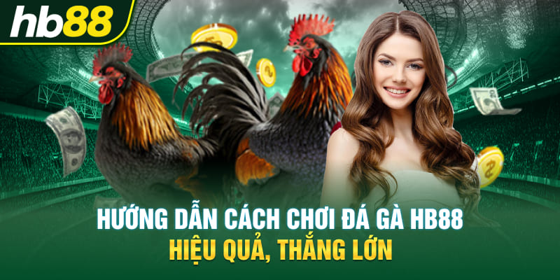 Hướng dẫn cách chơi đá gà Hb88 hiệu quả, thắng lớn