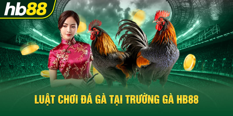 Luật chơi đá gà tại trường gà Hb88