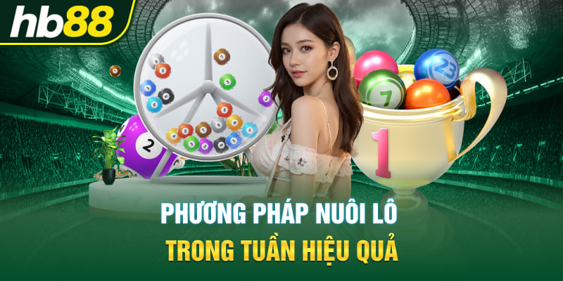 Phương pháp nuôi lô trong tuần hiệu quả