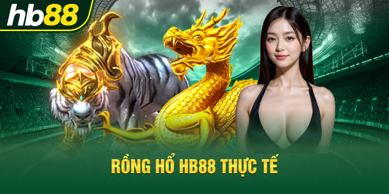 Rồng hổ Hb88 thực tế